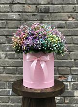 Цветочная композиция из Гипсофила и Розы в шляпной коробке #REPLACE_PRED# Благоево