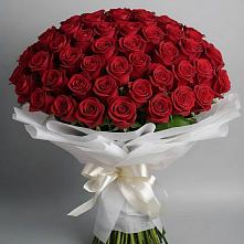 Букет 101 Красная роза Блэк Мэджик в Благоево