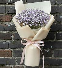 Букет цветов из:  Гипсофила #REPLACE_PRED# Благоево