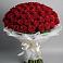 Букет 101 Красная роза Блэк Мэджик в Благоево