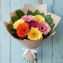 Букет цветов из:  Герберы #REPLACE_PRED# Благоево