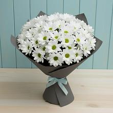 Букет цветов из:  Хризантемы #REPLACE_PRED# Благоево