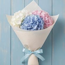 Букет цветов из:  Гортензия в Благоево