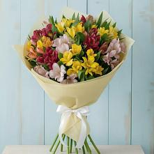 Букет цветов из:  Альстромерии в Благоево