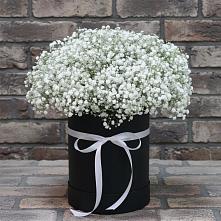 Цветочная композиция из Гипсофила в шляпной коробке #REPLACE_PRED# Благоево